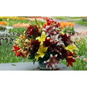 Лилии в ассортименте