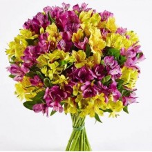 Альстромерии