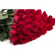 РОЗА ФРИДОМ