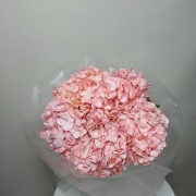 Волшебные гортензии