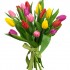 Букет из 15 тюльпанов Букет из 15 тюльпанов