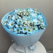 Букет из голубых ромашек