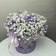 Гипсофила в коробке