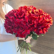 Розы красные французские 15шт